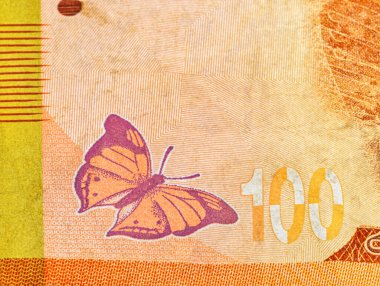 Sri Lanka Rupisi 'nin 100 parçalık bir parçası fotokopi alanına yakın çekimde kullanılmış. Faturada güz yaprağı kelebeği.