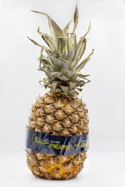 Kyiv Ukraine March 2021 Studio Shot Pineapple Fruit Premieur Extra — 图库照片