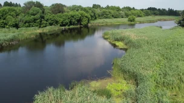 夏の川ロス静かな水 ウクライナ — ストック動画