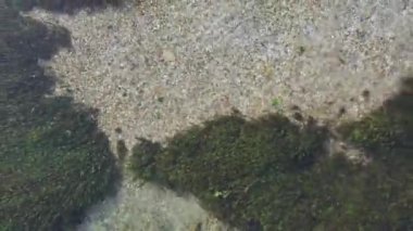 Arnavutluk 'un güneyindeki Vlore County' deki Muzine yakınlarındaki Mavi Gözlü su kaynağı üzerindeki hava aracı görüntüsü. Popüler bir turizm merkezi..