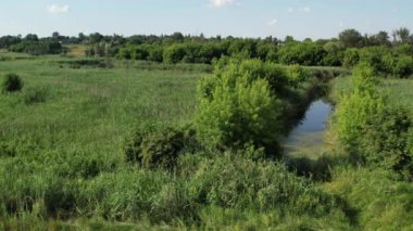 Yaz nehri üzerinde hava aracı görüntüsü Ros sakin su, Ukrayna