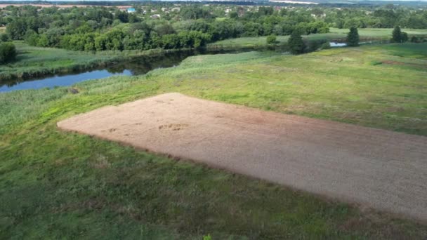 Vista Aérea Del Dron Sobre Campo Trigo Orilla Del Río — Vídeos de Stock