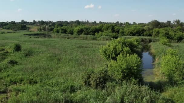 夏の川の上の空中ドローンビュー ロス静かな水 ウクライナ — ストック動画