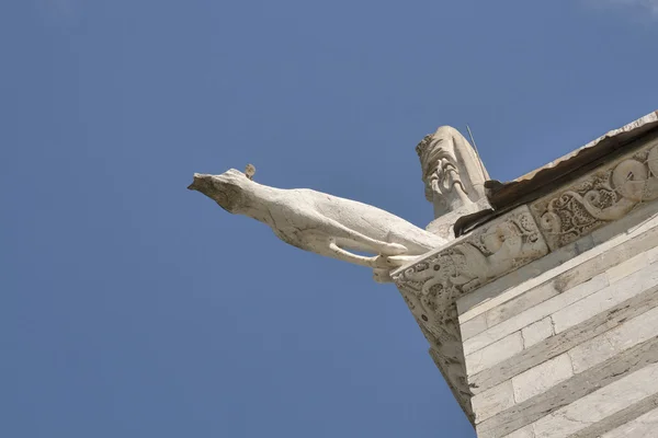 Pisa Duomo Cathedral fragment — Stock Photo, Image