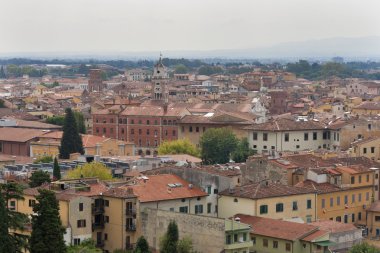 Pisa cityscape