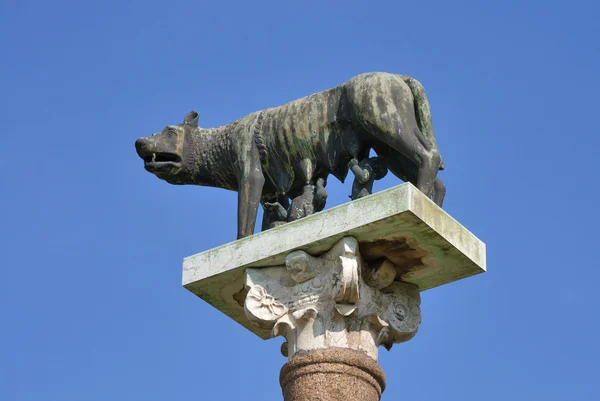 Romulus och Remus staty i Pisa, Italien — Stockfoto