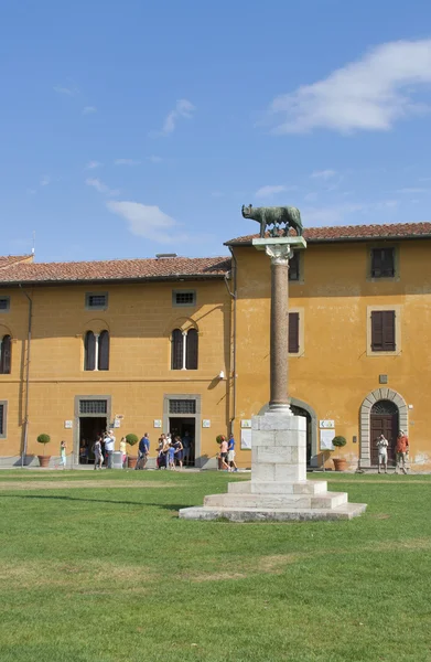 Standbeeld van wolf met Romulus en Remus in Pisa — Stockfoto