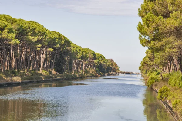 Kanal för San Rossore Regional Park, Italien — Stockfoto