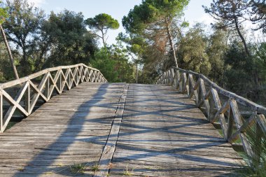 San Rossore Bölge Parkı, İtalya kanal üzerinden eski ahşap köprü