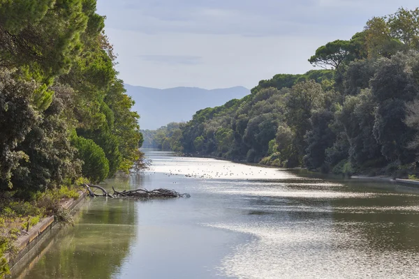 Kanaal van San Rossore Regionaal Park, Italië — Stockfoto