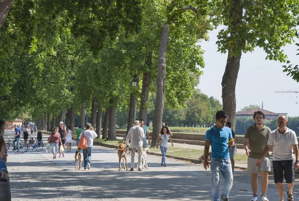 Pedestrians walk over the ancient fortified walls in Lucca, Tusc — Stock Photo, Image