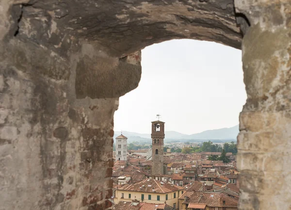 Lucca cityscape Guinigi kule, Toskana, İtalya — Stok fotoğraf