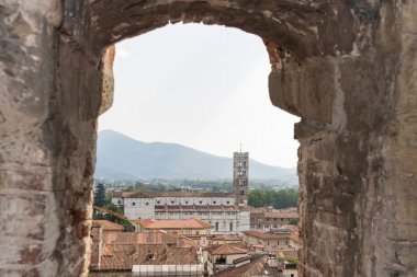 Lucca cityscape Guinigi kule, Toskana, İtalya 