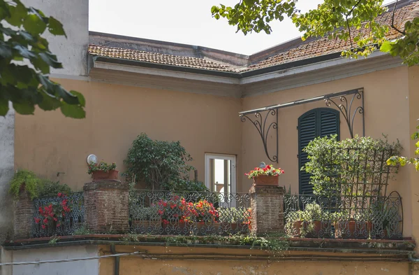 Terrasse entourée de plantes et de fleurs — Photo