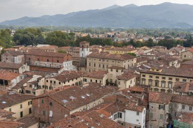 Lucca cityscape Guinigi Tower, İtalya