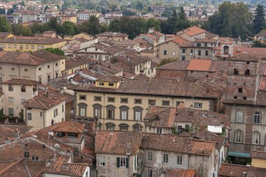 Lucca cityscape Guinigi Tower, İtalya