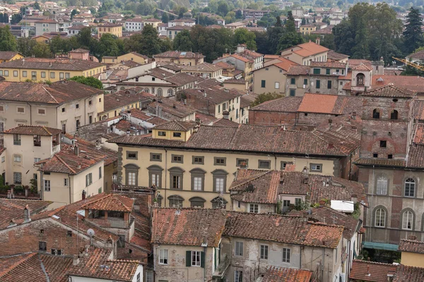Lucca stadsgezicht van de Guinigi toren, Italië — Stockfoto