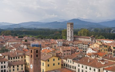 Lucca cityscape Guinigi Tower, İtalya