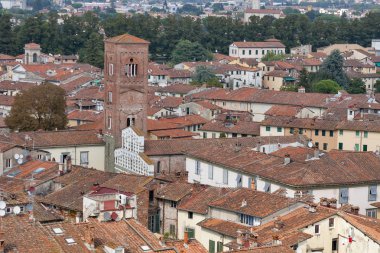 Lucca cityscape Guinigi Tower, İtalya