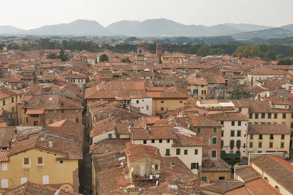 Paesaggio urbano di Lucca dalla Torre Guinigi, Italia — Foto Stock