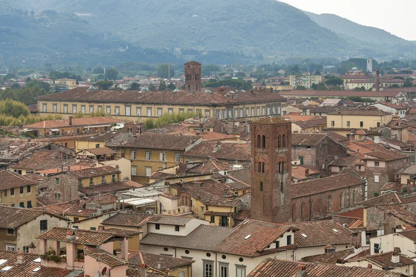 Lucca stadsbild från Guinigi tower, Italien — Stockfoto