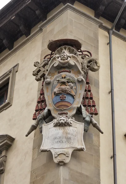 Medici family stone coat of arms in Florence — Stock Photo, Image