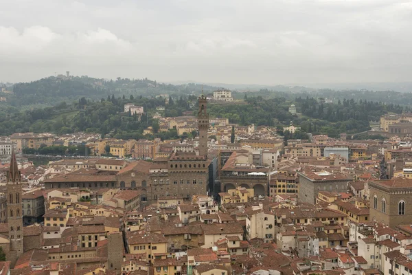 Paesaggio urbano di Firenze con Palazzo Vecchio nella nebbia — Foto Stock