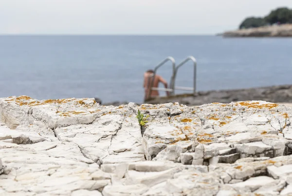 Naakte vrouw badend in de zee rotsachtige strand met ladder — Stockfoto