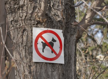 Köpekler plaka ağaç yok