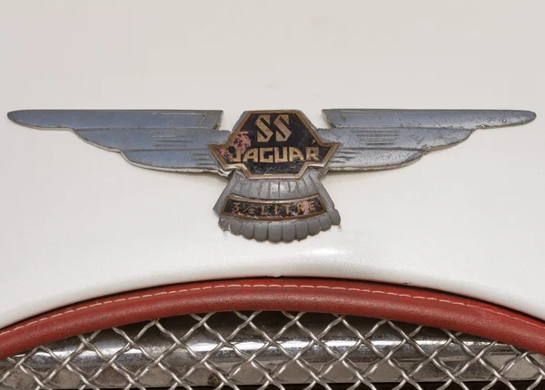 Vintage radiator and the emblem of the Jaguar — Stock Photo, Image