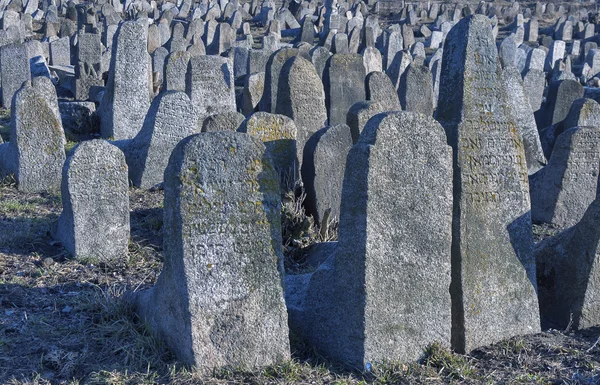 Падший надгробки стародавніх єврейське кладовище — стокове фото