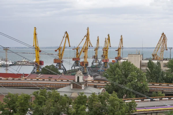 Odessa industrial seaport at sunset, Ukraine — Stock Photo, Image