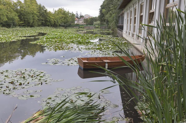 Lake with water lilies in Tivoli Park. Ljubljana. — Stock Photo, Image