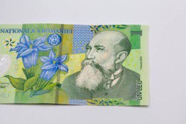 Romanya 'nın bir ley banknotunun stüdyo çekimi beyaza yakın çekim.