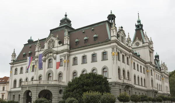 Universiteit van ljubljana, Slovenië — Stockfoto