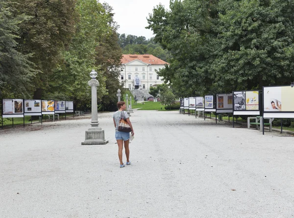 Выставка современного искусства в парке Тиволи. Лилль, Словеня . — стоковое фото