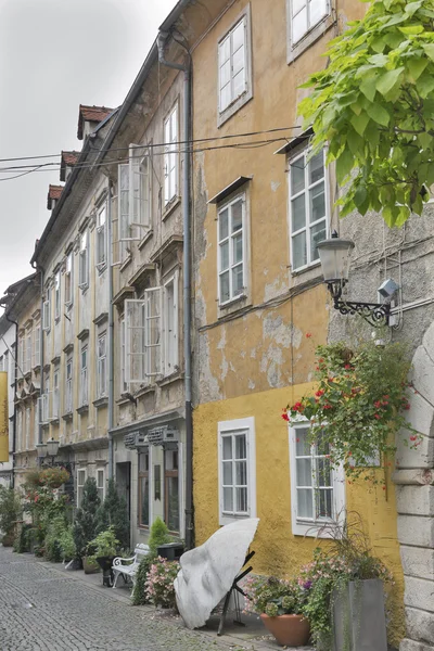 Ljubljana krizevniska enge straße in slowenien — Stockfoto