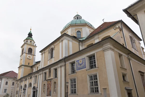 Saint Nicholas kathedraal van Ljubljana, Slovenië — Stockfoto