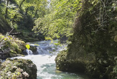 Vintgar gorge ve ahşap yolu. Bled, Slovenya.