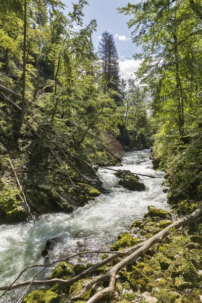 Vintgar gorge och floden Radovna. Bled, Slovenien. — Stockfoto