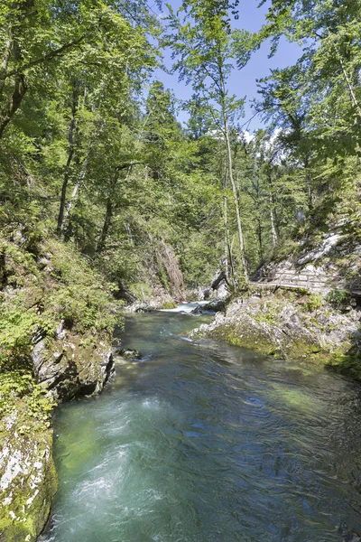 Soutěska Vintgar a dřevěné cesty. Dob, Slovinsko. — Stock fotografie