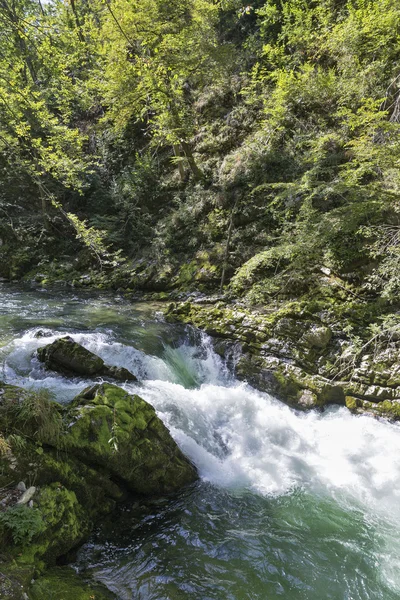 Vintgar Schlucht und Fluss radovna. Slowenien ausgeblutet. — Stockfoto