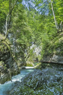 Vintgar gorge ve ahşap yolu. Bled, Slovenya.