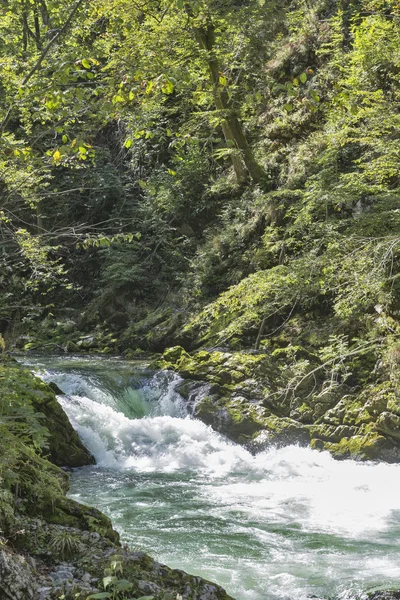 Vintgar Schlucht und Fluss radovna. Slowenien ausgeblutet. — Stockfoto