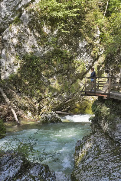 Vintgar gorge ve kadın ahşap yolda. Bled, Slovenya. — Stok fotoğraf