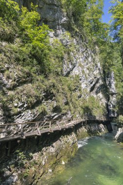 Vintgar gorge ve ahşap yolu. Bled, Slovenya.