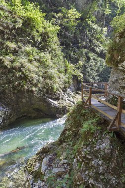 Vintgar gorge ve ahşap yolu. Bled, Slovenya.