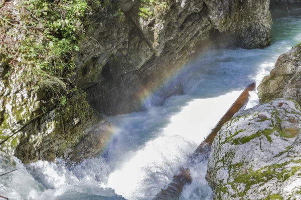 Garganta de Vintgar e rio áspero Radovna. Bled, Eslovénia . — Fotografia de Stock