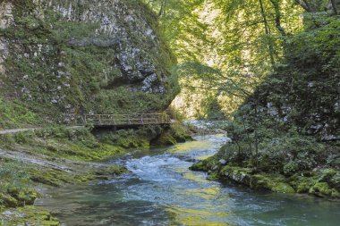 Vintgar gorge, ahşap yol ve nehir Radovna. Bled, Slovenya.