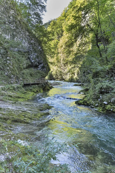 Soutěska Vintgar, dřevěné cesty a řeka Radovna. Dob, Slovinsko. — Stock fotografie